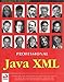 Professional Java XML