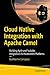 Cloud Native Integration with Apache Camel: Building Agile and Scalable Integrations for Kubernetes Platforms